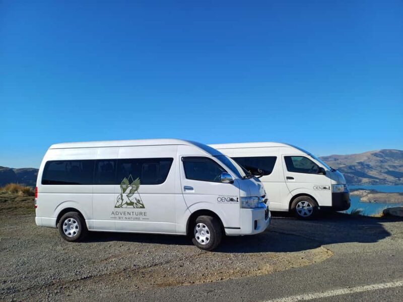 Christchurch: Full or Half-Day Rock Climbing Tour with Guide - Frequently Asked Questions