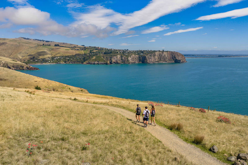 Christchurch Godley Head Loop Trail Full-Day Small Group Walking Tour - Key points to know
