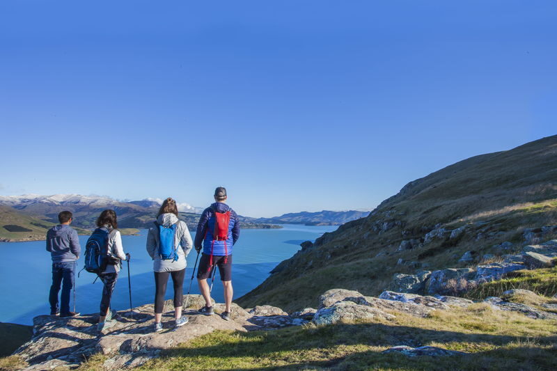 Christchurch Godley Head Loop Trail Full-Day Small Group Walking Tour - A full day built around walking
