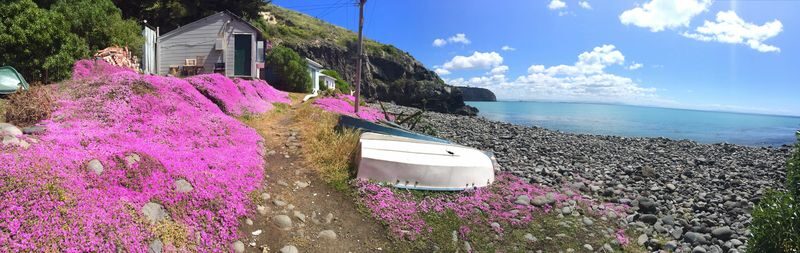 Christchurch Godley Head Loop Trail Full-Day Small Group Walking Tour - Sumner’s coast and beachfront