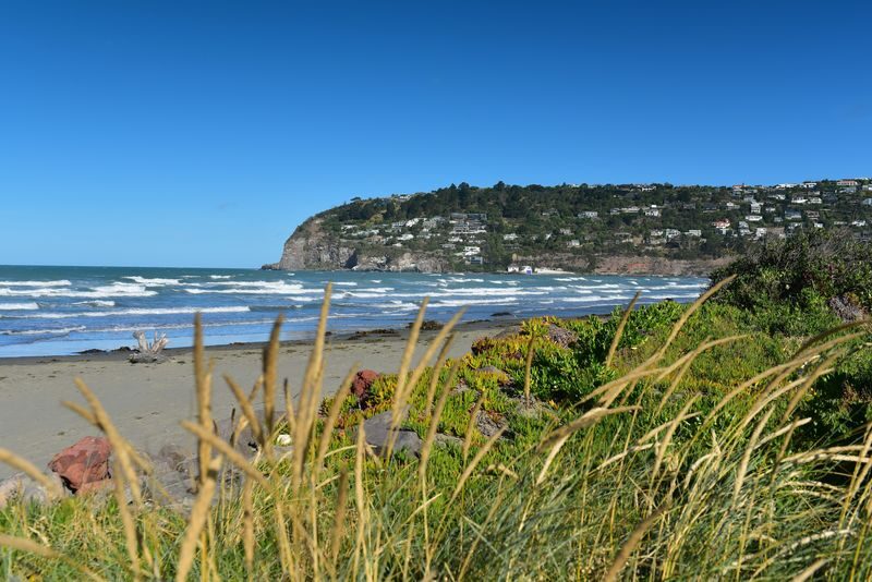 Christchurch Godley Head Loop Trail Full-Day Small Group Walking Tour - Food, sticks and the small-group format