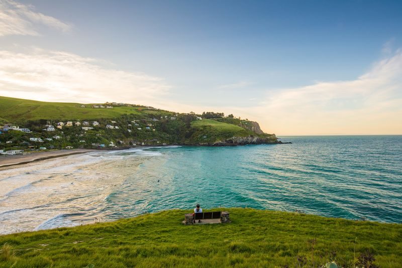 Christchurch Godley Head Loop Trail Full-Day Small Group Walking Tour - Is the price worth it?