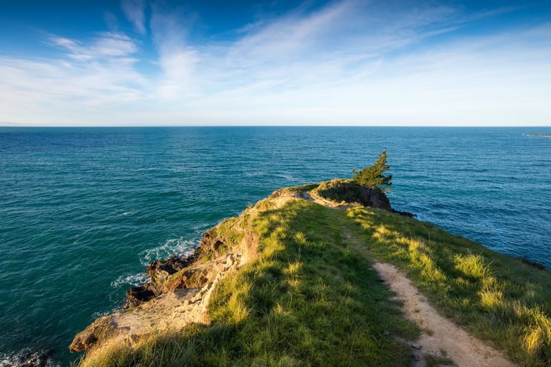 Christchurch Godley Head Loop Trail Full-Day Small Group Walking Tour - Prepare for a long day outside