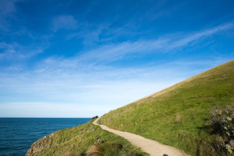 Christchurch Godley Head Loop Trail Full-Day Small Group Walking Tour - Booking and cancellation details