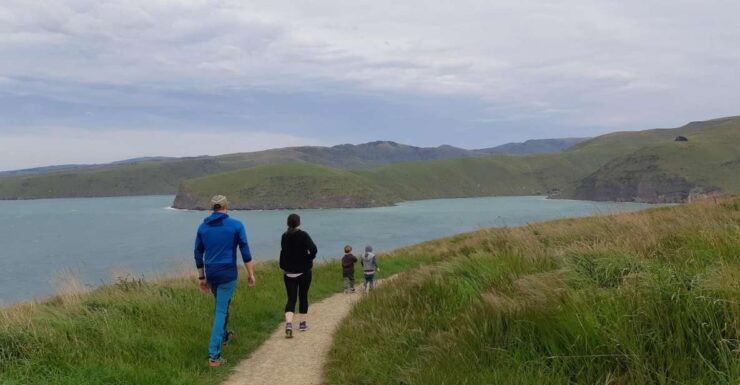 Christchurch: Godley Head & Lyttelton Guided Walking Tour - Tour Booking Details