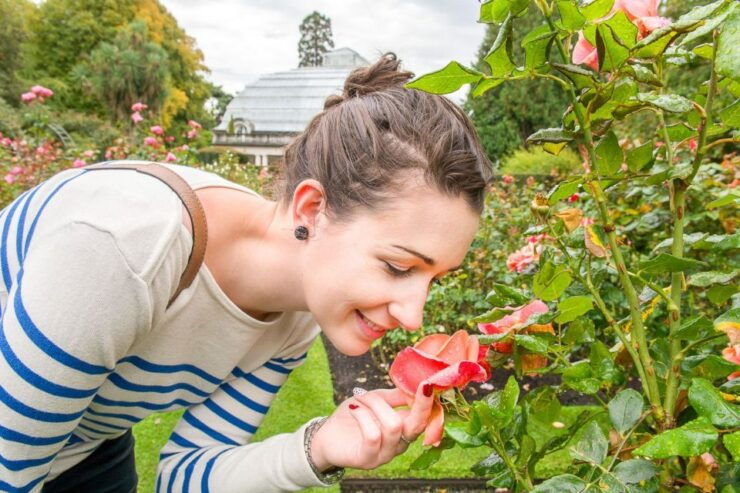 Christchurch Gondola and Tram City Tour Combo - Experience Highlights