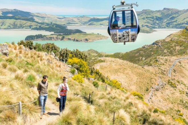Christchurch: Gondola Ride - Hiking to the Crater Rim