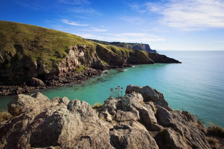 Christchurch: Guided Crater Rim Walk and Picnic - Experience Highlights