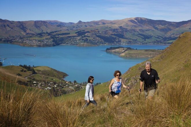 Christchurch: Guided Crater Rim Walk and Picnic - Full Description