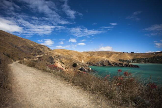 Christchurch: Guided Crater Rim Walk and Picnic - Additional Recommendations