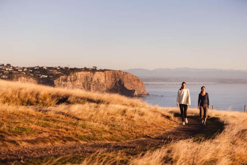 Christchurch: Guided Crater Rim Walk with Coastal Scenery - Good To Know