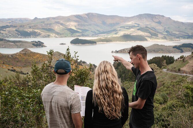 Christchurch Highlights Tour (Full Day Private) - An In-Depth Look at the Christchurch Highlights Tour