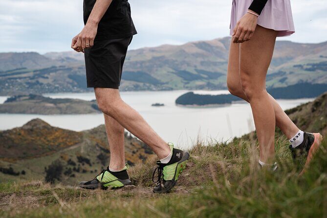 Christchurch Highlights Tour (Full Day Private) - Who This Tour Is Perfect For