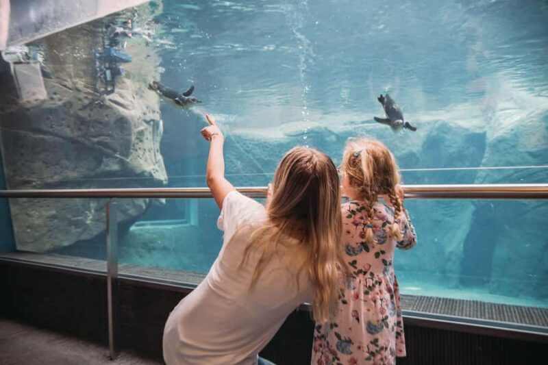 Christchurch International Antarctic Centre Entry Tickets - Final Thoughts