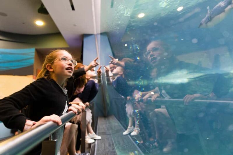 Christchurch International Antarctic Centre Entry Tickets - FAQ