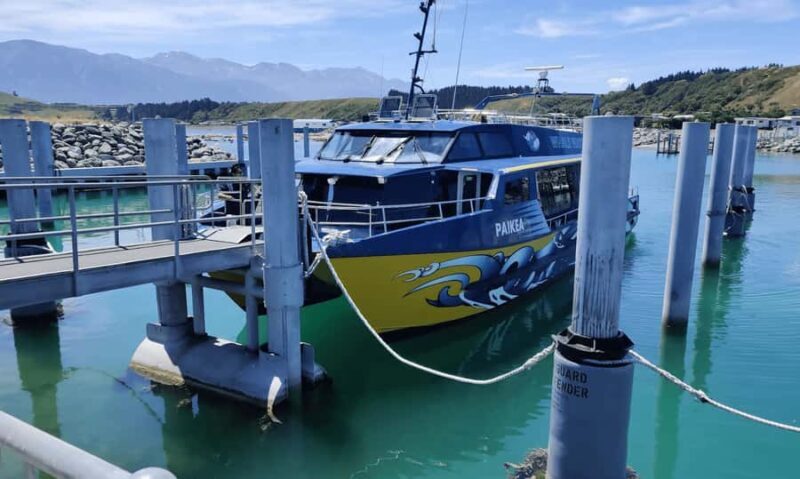 Christchurch: Kaikoura Day Tour with Hotel Pickup - What to Expect From This Full-Day Tour