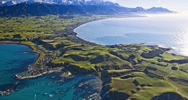 Christchurch: Kaikoura Whale Watching Day Tour - Transportation and Group Size
