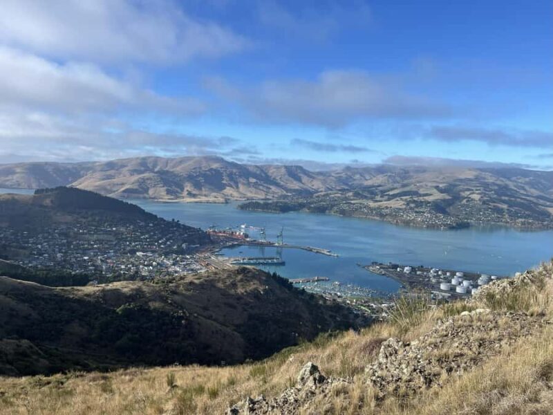 Christchurch: Port Hills Full-Day Trail Running Tour - Good To Know