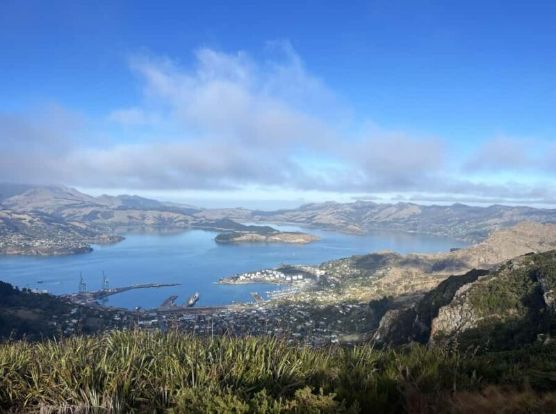 Christchurch: Port Hills Full-Day Trail Running Tour - An In-Depth Look at the Christchurch Port Hills Trail Run