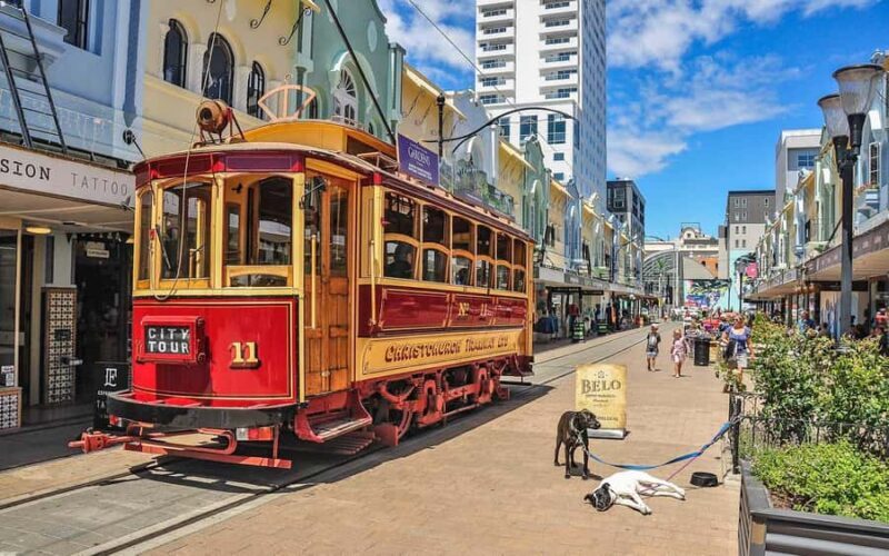 Christchurch: Private City Day Tour - A Thorough Look at What to Expect