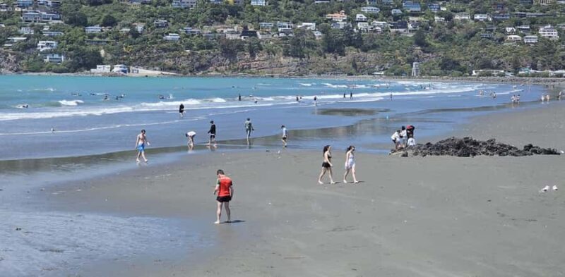 Christchurch Sightseeing & Lyttelton Harbour Tour - An Honest Breakdown of the Tour Experience