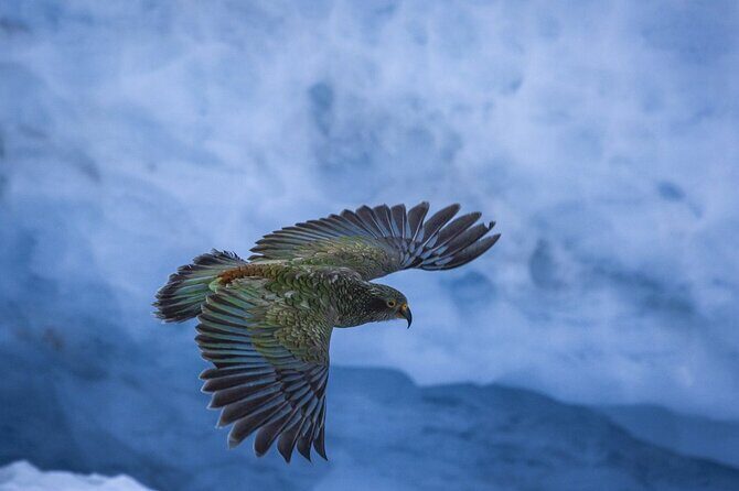 Christchurch to Franz Josef One Way Day Tour with TranzAlpine - Who Would Love This Tour?