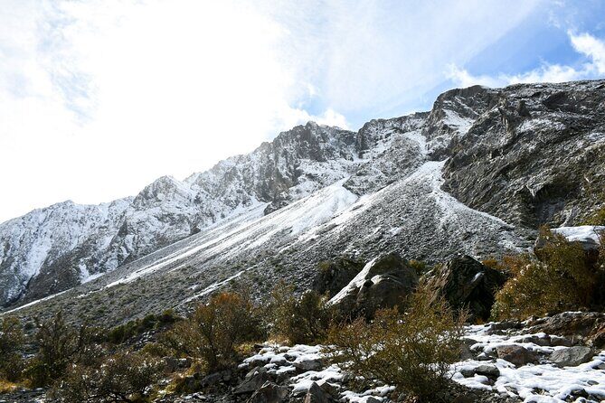 Christchurch to Franz Josef via Hokitika (1 way) - Price and Value