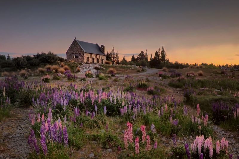 Christchurch to Queenstown Full-Day Tour with Mount Cook - One long transfer, with the South Island between the cities