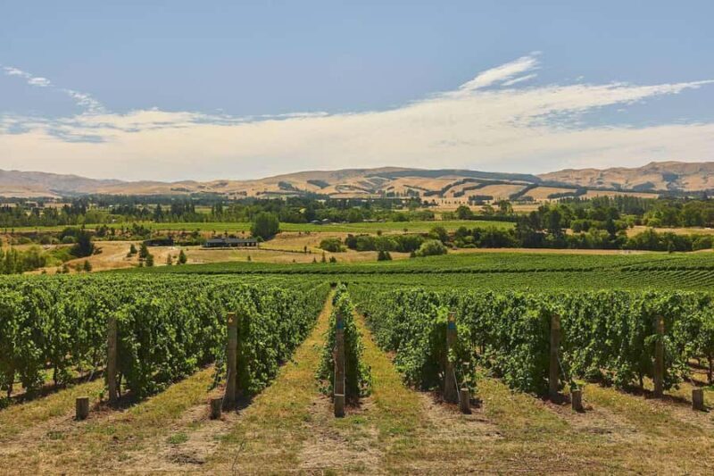 Christchurch Waipara Valley Private Wine Tour - An In-Depth Look at the Waipara Valley Wine Tour