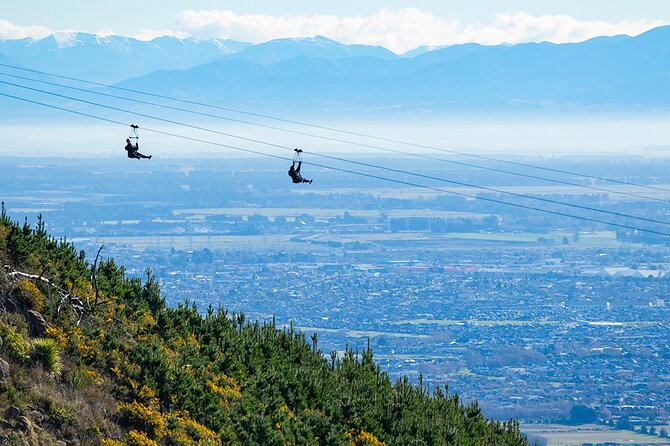 Christchurch Zipline Tour - Traveler Photos and Reviews