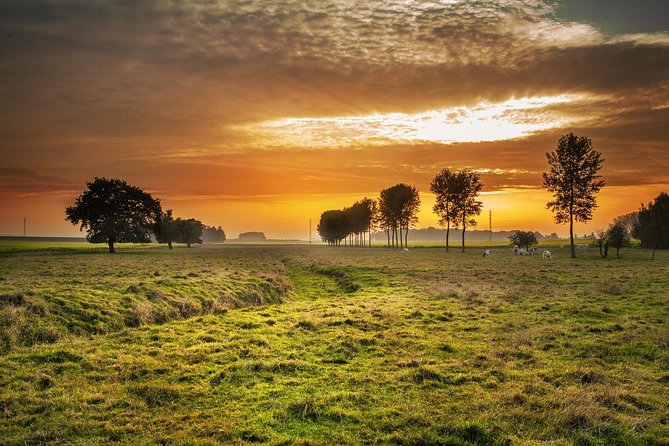 Christian Sea of Galilee, Cana, Magdala & Mt. of Beatitudes Tour From Tel Aviv - The Sum Up