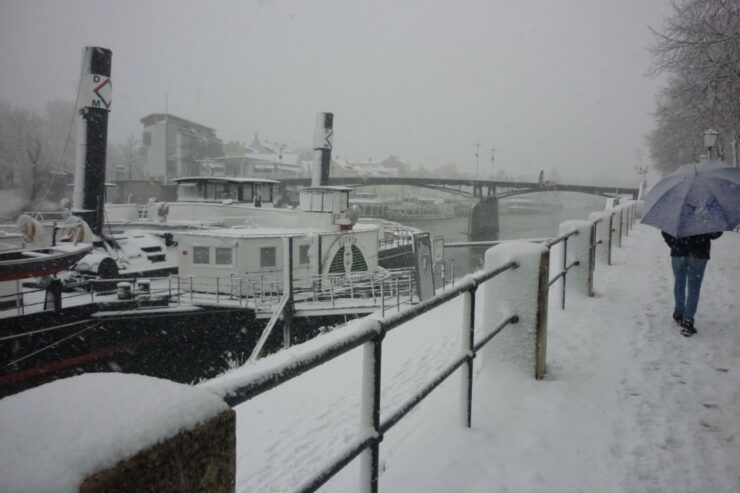 Christmas Boat - Activity Details and Booking