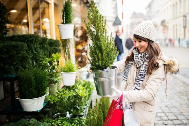 Christmas Experience in Ghent – Walking Tour - Meeting Point