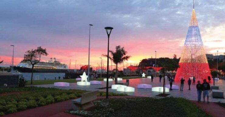 Christmas Lights in Funchal Tour - Tour Overview