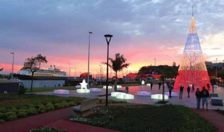 Christmas Lights in Funchal Tour - Activity Details
