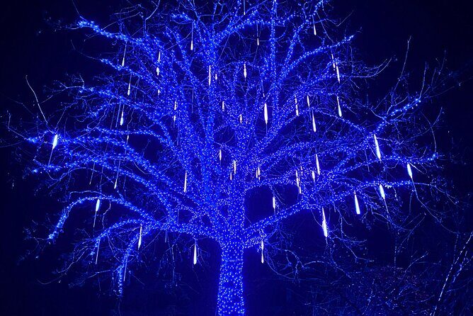 Christmas Lights Tour Butchart Gardens & City Tour in Victoria BC - The Sum Up