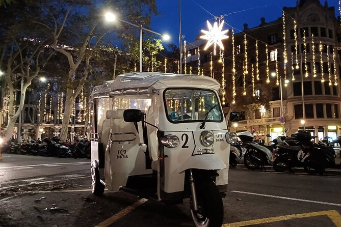 Christmas Lights Tour of Barcelona in Private Eco Tuk Tuk - Customer Reviews