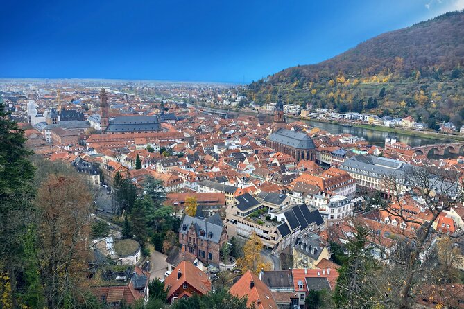 Christmas Market and Wine Tasting Tour - Common Questions