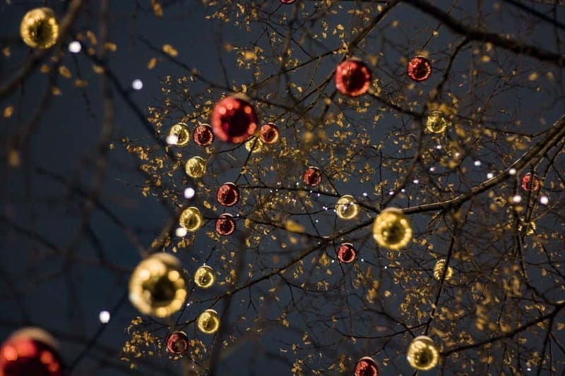 Christmas Market Guided Tour in Esztergom - What’s Included & Practical Details
