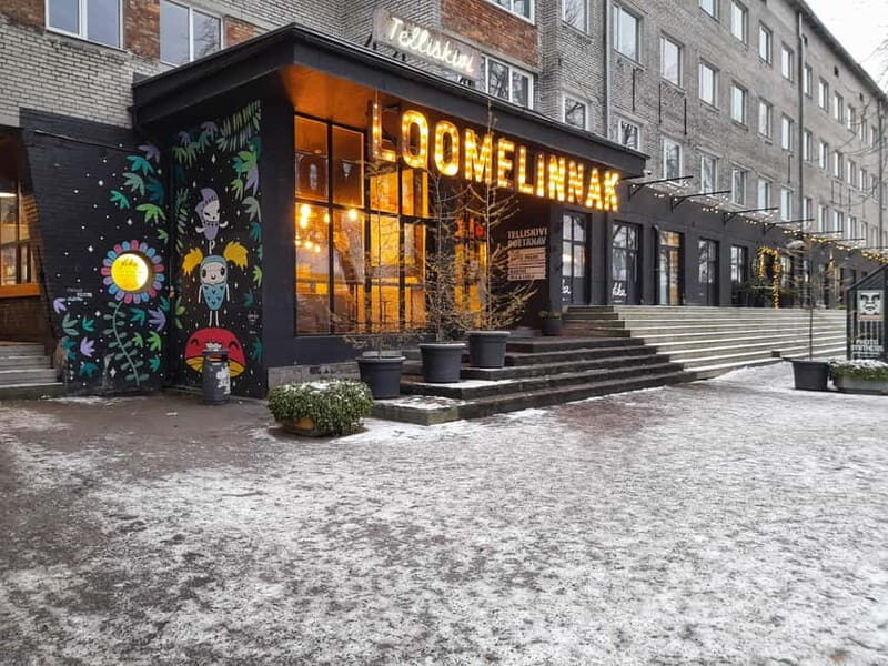 Christmas walking tour Tallinn Christmas market - Who Should Consider This Tour?