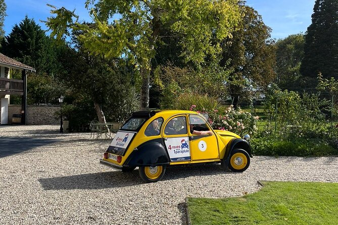 Christmas Wine Tour - 3h - Wine Tasting Experience