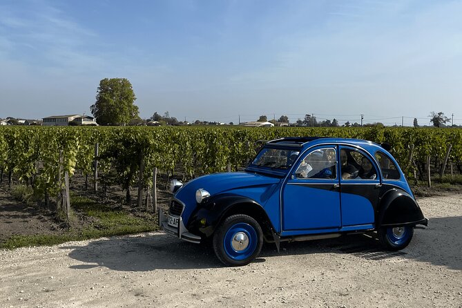 Christmas Wine Tour - 3h - Christmas Decorations and Atmosphere
