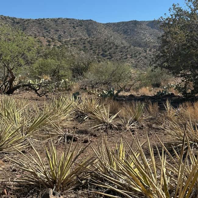 Chrysotile, AZ: Off-Road Adventure Gleason Flat - Salt River - Practical Details and Value