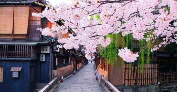 Chubu Airport (Ngo) To/From Kyoto Private Transfer - How to Book