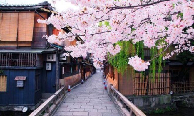 Chubu Airport (Ngo) To/From Kyoto Private Transfer - Payment Information