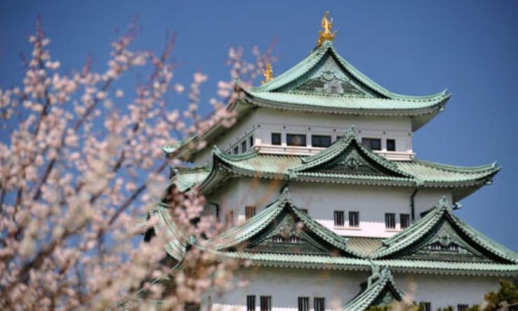 Chubu Airport (Ngo) To/From Nagoya Private Transfer - Booking and Payment Process