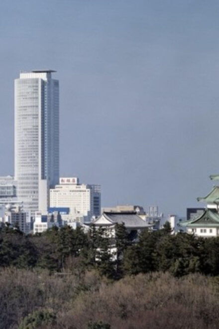 Chubu Airport (Ngo) To/From Nagoya Private Transfer - Service Features Overview