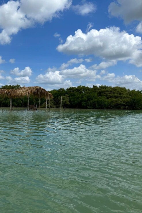Chuburna ISLA COLUMPIOS Private Tour! - Good To Know