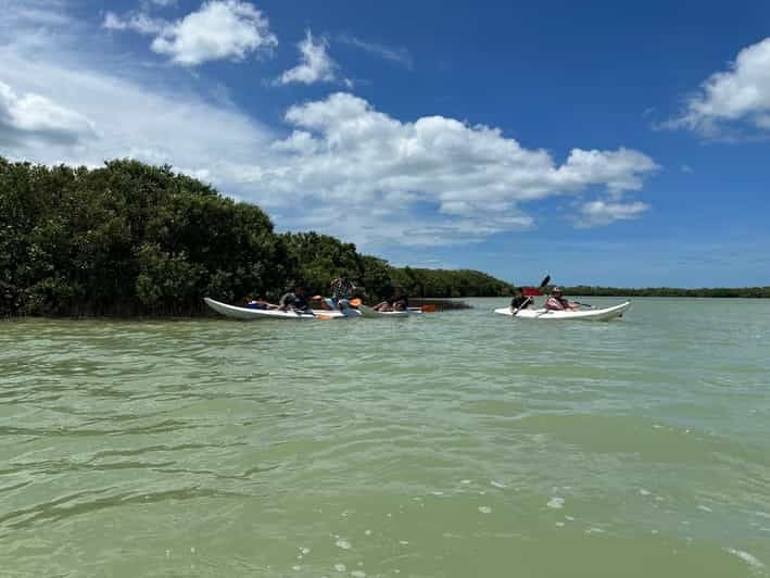 Chuburna ISLA COLUMPIOS Private Tour! - Location and Attractions