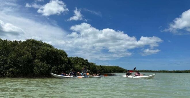 Chuburna ISLA COLUMPIOS Private Tour! - Inclusions and Transportation